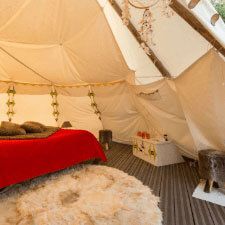 Tipi