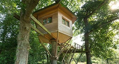 Cabane dans les arbres