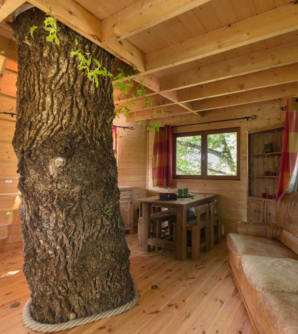 Vivez au coeur d'un arbre, dans une cabane du Domaine Arvor en Bretagne !