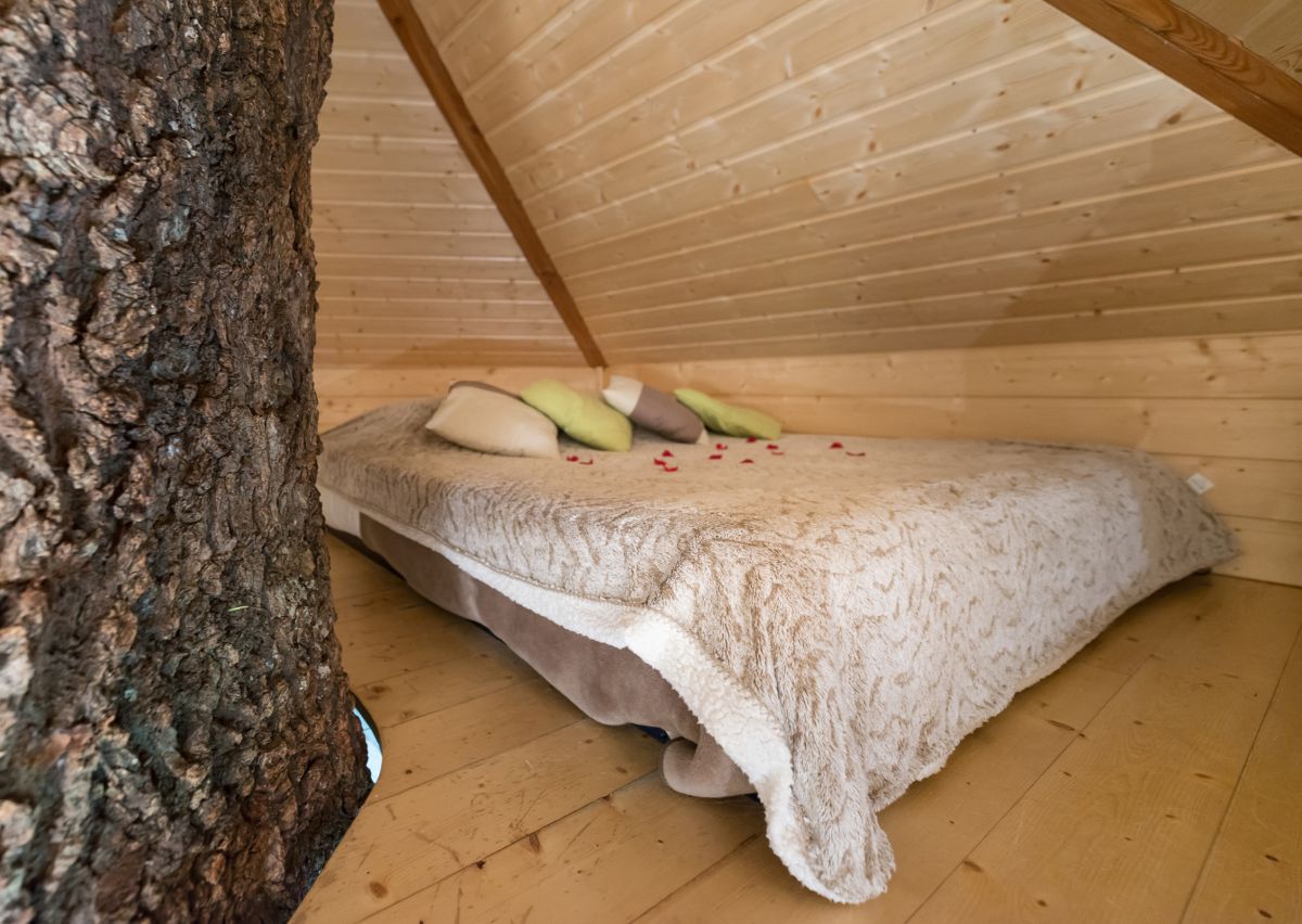 Nuit en couple en cabane dans les arbres : confort, liberté et intimité